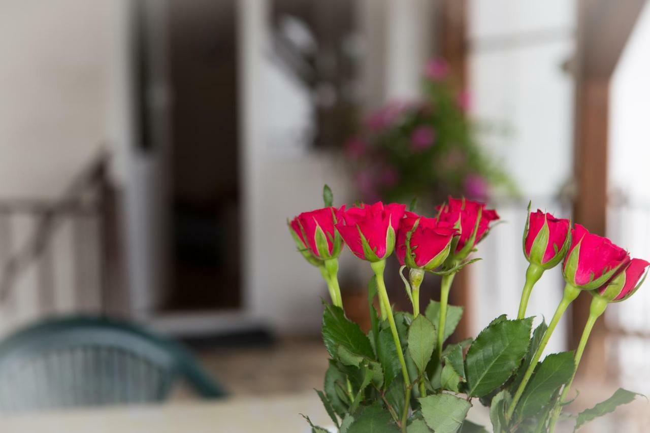 Apartman Antea Otočac Extérieur photo